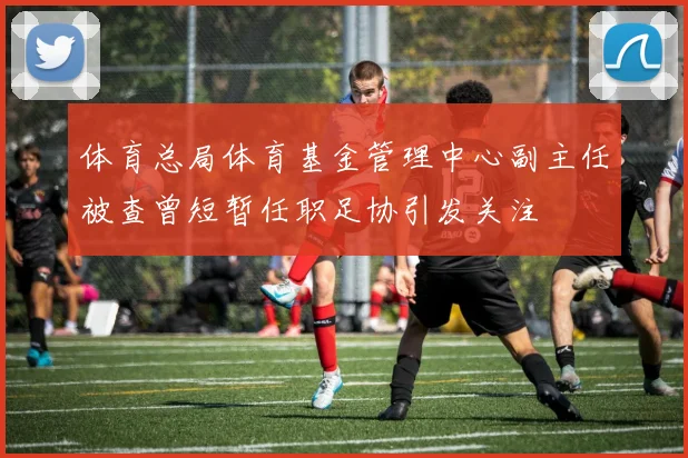 体育总局体育基金管理中心副主任被查曾短暂任职足协引发关注