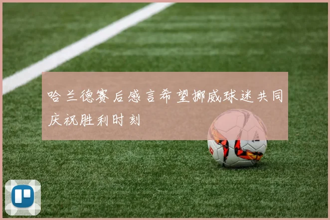 哈兰德赛后感言希望挪威球迷共同庆祝胜利时刻