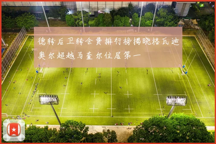 德转后卫转会费排行榜揭晓格瓦迪奥尔超越马奎尔位居第一